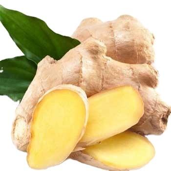 China Quality China Factory Price Dry Seasoning Color Natural Ginger for sale