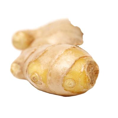 China Wholesale Dry Ginger Air Dry Fresh Ginger for Export for sale