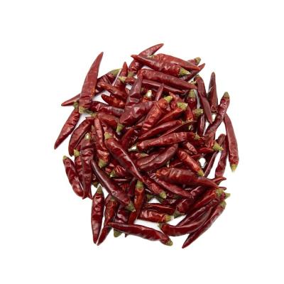 China New Culture 2021 Dried Red Chili For Cooking Use With Factory Price China Supplier for sale