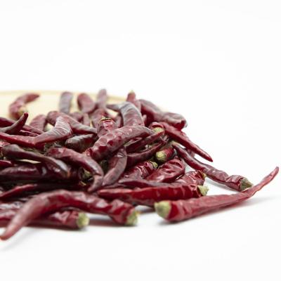 China Shandong Origin Dried High Quality Hot Sales Dried Red Chilli for sale