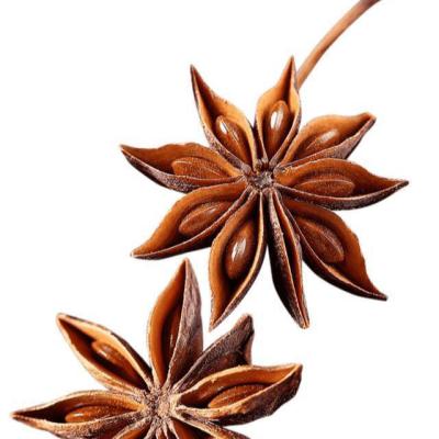 China China Manufacture Star Anise Plant Chinese Star Anise Dry Professional Star Anise Essence for sale