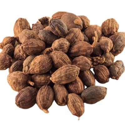 China Low price guaranteed quality dry spices nutmeg nutmeg cracking nutmeg for sale for sale