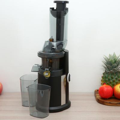 China 160 Watt Electric Slow Juicer Pineapple Citrus Blender 2022 Easy Handling Professional Blender for sale