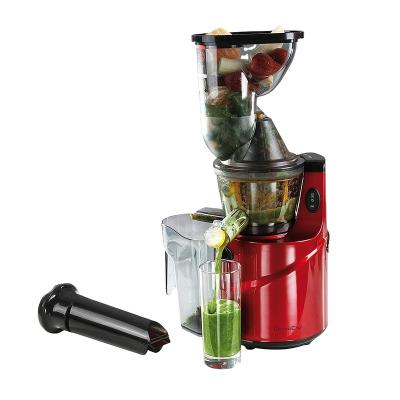 China Car Hot Selling Cold Press Slow Juicer Blender Easy To Clean for sale