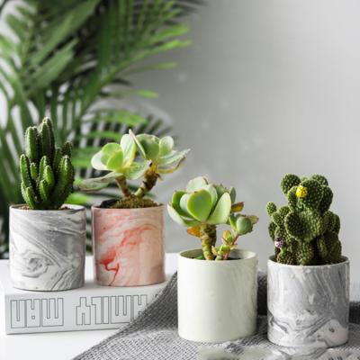 China New Arrival Modern Small Marbled Plant High Quality Colorful Ceramic Pot For Succulent Plants for sale