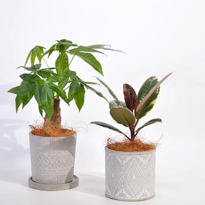 China Modern nordic geometric design for indoor home decoration cement flowerpot for sale