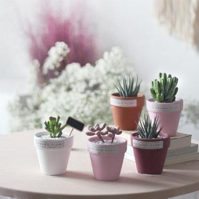 China Modern Wholesale Modern Cheap Garden Terracotta Home Decor Multicolor Mini Glazed Flower Pots For Succulent Plants for sale