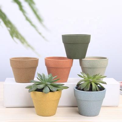 China Macaron Modern Colorful Succulent Flowerpot, Terracotta Flowerpot Contracted Green Plant More Breathable, Succulent Plants for sale