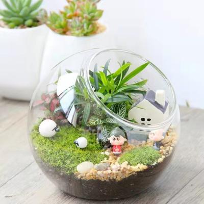 China Eco-Friendly Modern Micro Landscape Vase Home Decor Glass Size Moss Around Glass Bottle Slant Mouth Hydroponic Container for sale