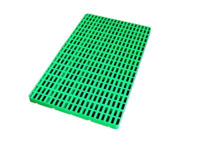 China Pallet van de de Grond de Groene Plastic Vloer van douanewarerhouse voor Lage Temperatuurdiepvriezer -30 C Te koop