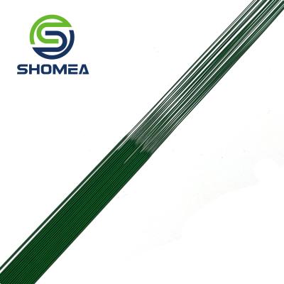 China SHOMEA Customized Small Diameter 0.1-1.3mm Green Color  PTFE  hydrophilic coating Hypotubes for sale