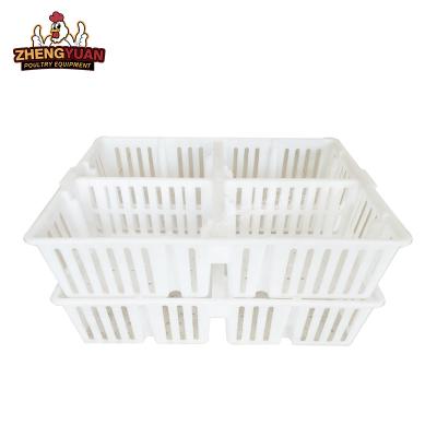 China Farm Transport poultry Chicken turnover box Chicken transport cages Plastic chicks cages box for transporting chicks Seedling transport box cages for sale