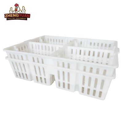 China Farm Transport chicken large size poultry crates plastic transport basket four compartment stackable plastic chick transport box for sale