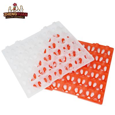 China Poultry equipment factory directly sale egg tray price High Quality Plastic Eggs Tray Food Packaging egg holder for sale