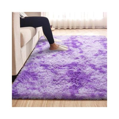 China Soft Soft Fluffy Carpets For Living Room Shaggy Carpet Floor Rugs Bathroom Carpet for sale