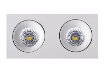 Cina Riflettore 10W LED Downlight 220mmx110mmx80mm del doppio di forma di rettangolo in vendita