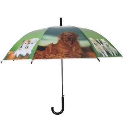 China PVC Minimalist Transparent Waterproof Umbrella Long Umbrella Kids Umbrella With Cute Dog Printing for sale