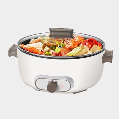 China High Quality Hotel Suit 3-4 White People Multifunctional Stick Non Coating Electric Steamer For Frying Steamer for sale