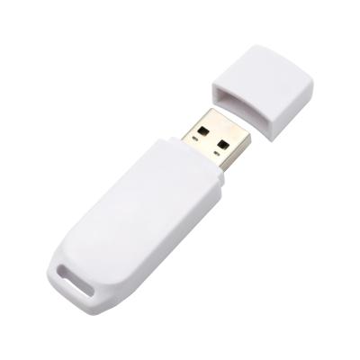 China Promotion\Business\Colorful High Quality Usb 2.0 Memory Disk 16gb School\Office 3.0 32gb 128gb Pendrive 4gb 8gb Logo Usb Flash Drive Plastic 64gb for sale