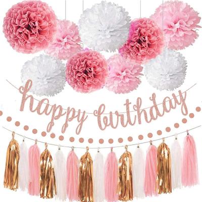 China Stylish Birthday Party Supply Decorations for Girls and Women includes Banner, Pom Pom, Circle Dots Garland and Tassel Garland Item for sale