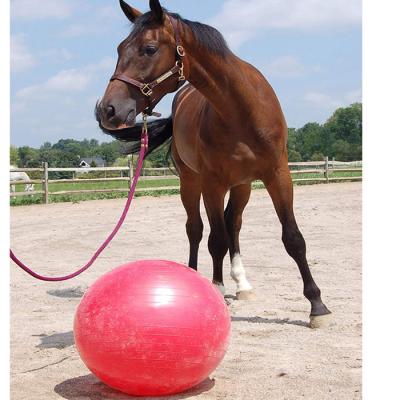 China Sustainable Rally Ball For Horse, 40