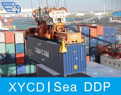 China China Independent Sea Freight Forwarder Warehouse Cheap DDP Sea Shipping Service To USA Canada Japan for sale