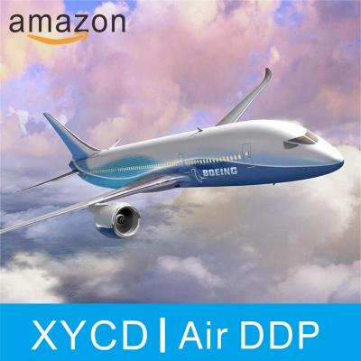 China Professional Air Shipping Freight Forwarder Agent Between China To USA Worldwide Door To Door Air Freight for sale