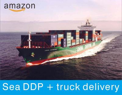 China Sea freight to new york supplier china freight forwarder sea load rate door to door shipping ddp for sale