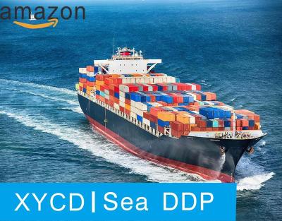 China Shenzhen sea ddp sea freight for sale