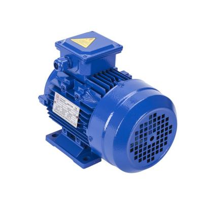 China Totally Enclosed Yongkun 4P 380V 50Hz High Efficiency Three Phase  Asynchronous Induction Motor for sale