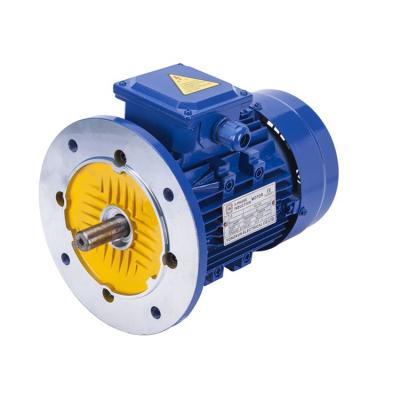 China Totally Enclosed Factory price 0.75kw 3000RMP  top terminal box three-phase electromagnetic brake ac electric motor for sale