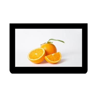 Китай 11.6 дюймовый IPS LCD дисплей Модуль 700 Яркость LCD 1920x1080 дисплей продается