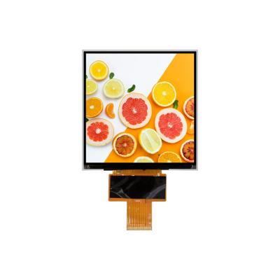 Китай 4.97 дюймовый IPS LCD дисплей 600*600 IPS LCD модуль 300 яркость продается