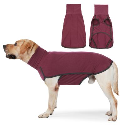 China OEM/ODM Roupas Pet Turtle Neck Sweater Sleep Wear Indoor Designer And Stocked Warm Outdoor Blank Dog Hoodie Use Clothes for sale