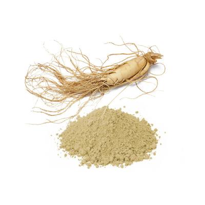 China Ginsenosides 80% Panax Ginseng Root Extract Food EU and USDA Ginseng Root Extract for sale