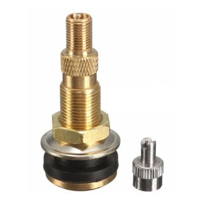 China Liquid Rubber Water Air Tractor Tire Valve Stems Wheel Rim TR618A Brass Tubeless Tire Valves TR618A for sale