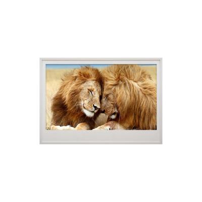 China Original canvas printing living room animal wall decoration painting simple porch with cardboard frame painting for sale