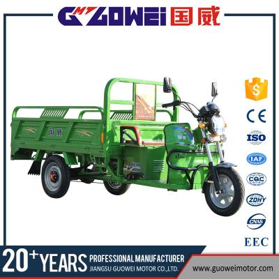 China China Village 500w 800w Cargo Off Road Three Wheel Motorcycle Electric Cargo Trike Tricycle For Farm Not Load Delivery Kingbon for sale