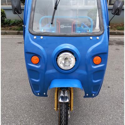 China 800W 1000w Cargo Farm Use 60v 3 Wheeler Electric Scooter Electric Trike Cargo Trike Electric Scooter for sale