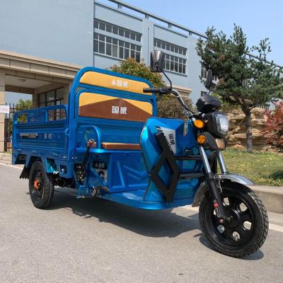 China 1200w electric cargo tricycle for cargo adults three wheeler motorcycle farm use cargoo tricycle for sale for sale