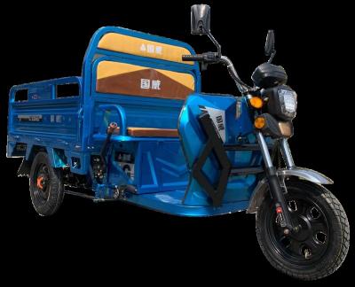 China 1000w electric cargo tricycle for cargo adults three wheeler motorcycle tuktuk farm not used cargo tricycles for sale