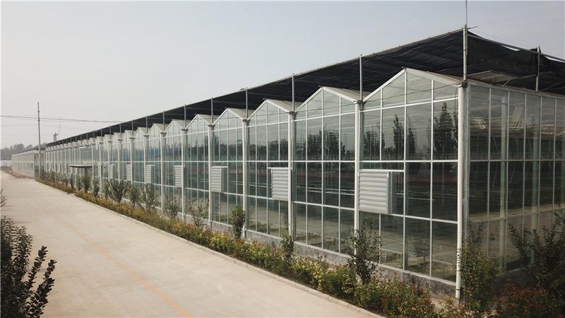 Verified China supplier - Shouguang Litai Agriculture Technology Co., Ltd.