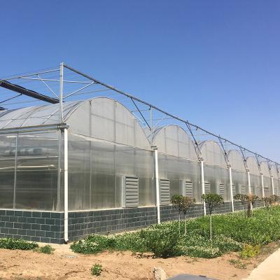 China Fruits Pe Greenhouses UV Resistant Agricultural Film Design Vegetable Flowers New Design for sale