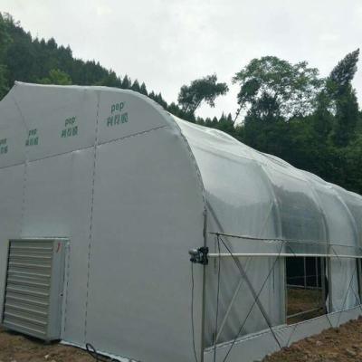 China HOT Herbs Vending Blackout Light Deprivation Plastic Sheet Greenhouse With Heating Equipments For Mushroom for sale