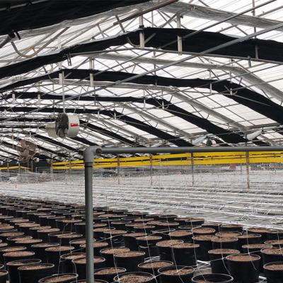 China Black PE Single-Span Film Greenhouse With Shading System for sale