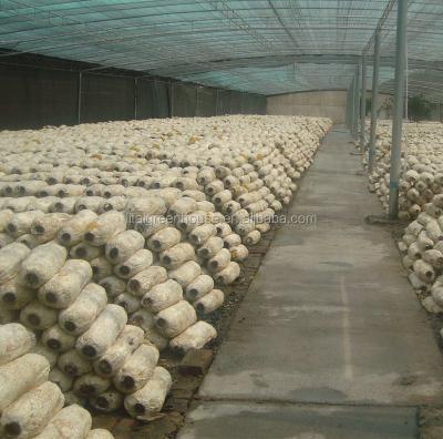 China Vegetable Fruits Flowers Light Deprivation Span Greenhouse For Mushroom for sale