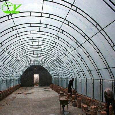 China Fruits Vegetable Flowers Hot-dipped Galvanized Frame Agricultural Plastic Film Greenhouse for sale