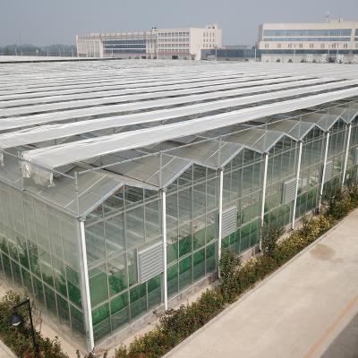 China Stable Structure Complete Multi Span Venlo Style Greenhouse Glass Agricultural Vegetable Project With Quick Build for sale