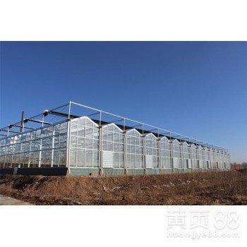 China Modern design agricultural glass greenhouse fruits vegetables flowers with hydroponics system for flowers for sale