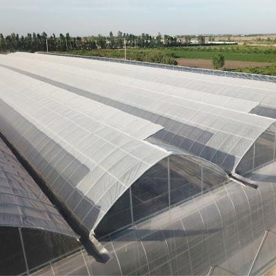 China Large Smart Glass Greenhouses Flower Vegetable Fruit Agriculture For Tomato for sale